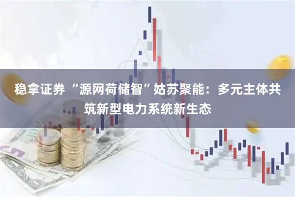 稳拿证券 “源网荷储智”姑苏聚能：多元主体共筑新型电力系统新生态