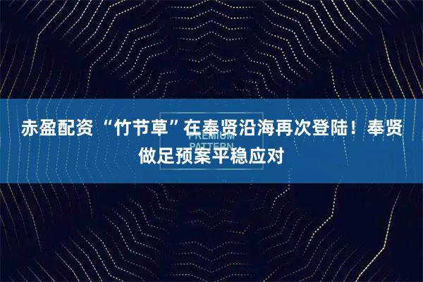 赤盈配资 “竹节草”在奉贤沿海再次登陆！奉贤做足预案平稳应对
