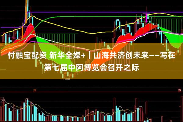 付融宝配资 新华全媒+｜山海共济创未来——写在第七届中阿博览会召开之际