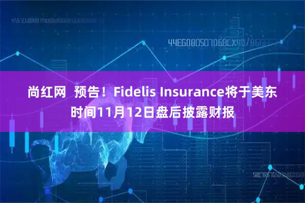 尚红网  预告！Fidelis Insurance将于美东时间11月12日盘后披露财报