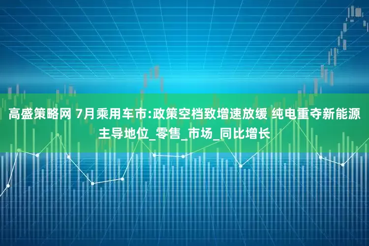 高盛策略网 7月乘用车市:政策空档致增速放缓 纯电重夺新能源主导地位_零售_市场_同比增长
